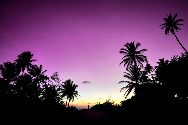A Purple Sky